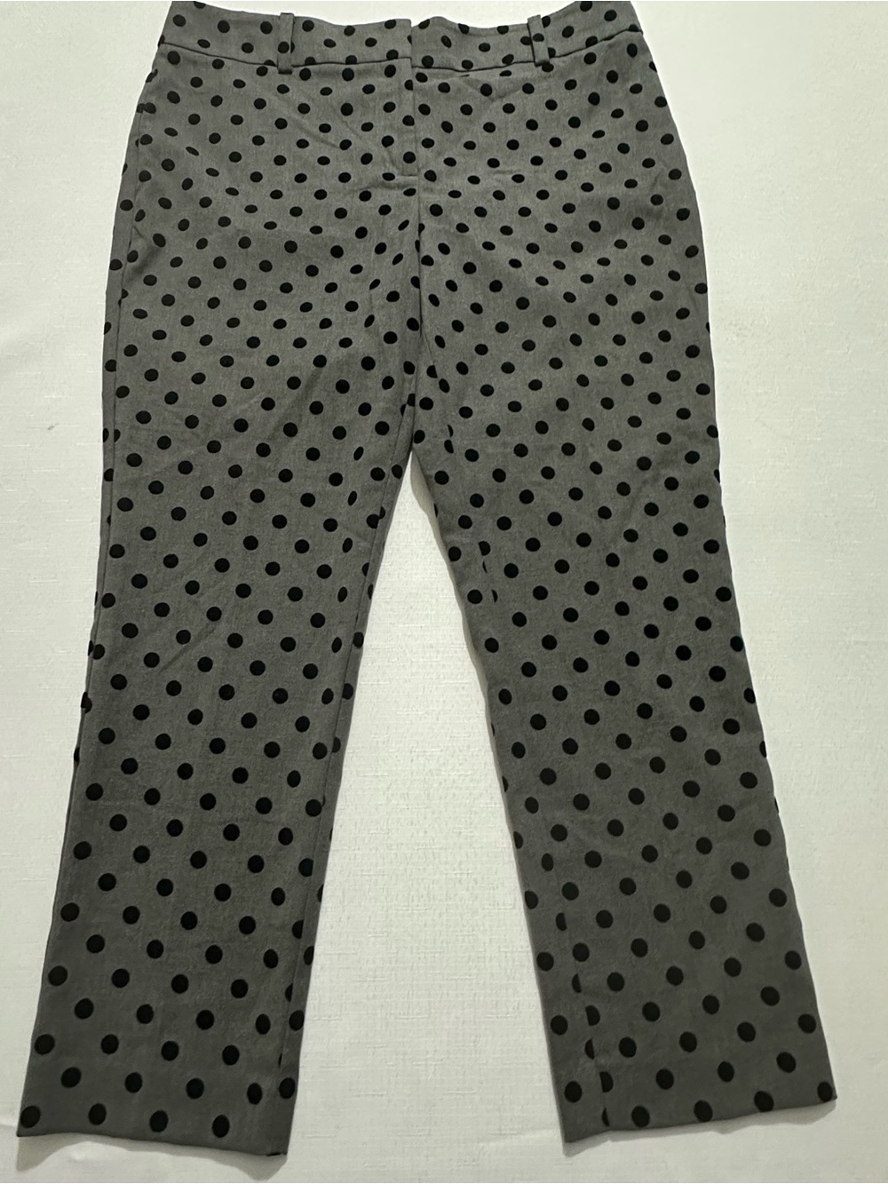 Ann Taylor Signature Gray Polka Dot Pants 10P